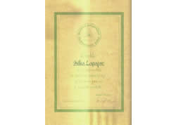 Duhovno zdravljenje po lastnem kanalu z vodniki svetlobe - Milka Lapajne